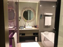 -南京禄口机场雅高铂尔曼大酒店