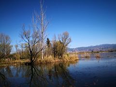 -西昌邛海湿地