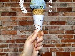 燕麦地球-Dal Cuore 达可芮冰淇淋(陕西北路店)