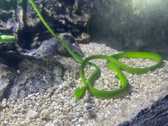 -海南热带野生动植物园