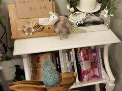 -春风·有糖(崇宁路店)