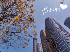 -洲头咀公园