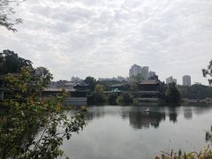 -荔湾湖公园