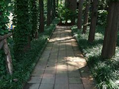 -日照海滨国家森林公园