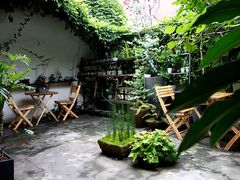 -植觉