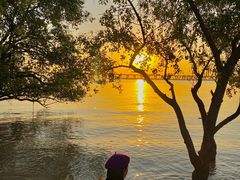 -宝安西湾红树林湿地公园