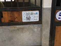 -大连凯洋马术俱乐部有限公司