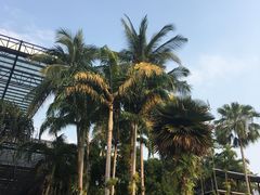 -东芭乐园