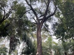 -海悦山庄酒店-花园泳池