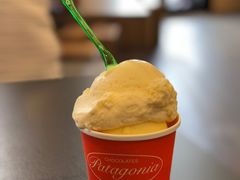 -Patagonia Chocolates(皇后镇店)