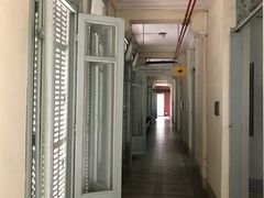 -胡志明市美术馆