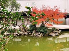 -秋霞圃