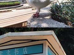 -音乐台