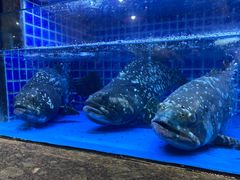 -徐记海鲜(梅溪新天地店)