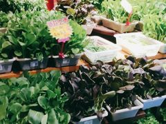 -永安鱼庄·镇江菜(丁卯店)