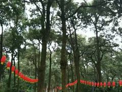 -昆明市金殿名胜区