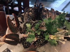 -辉哥火锅(虹桥路店)