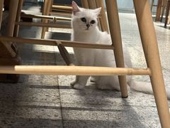 -谷咖啡·鲜花绿植花园餐厅