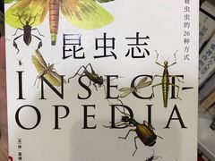 -云南省图书馆