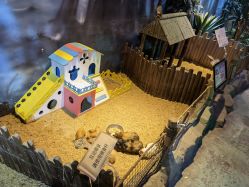 -酷嗒动物文化乐园(cutezoo西溪乐天城店)