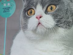 -方浜中路45弄小区