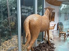 -老外街