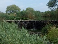 -北药泉