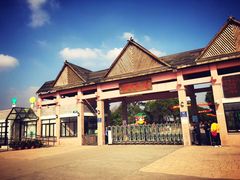 -上海都市菜园