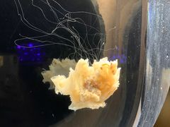 -南京金牛湖风景区