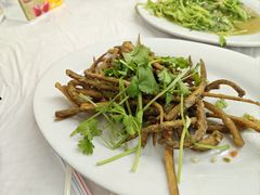筷子鱼-老三鱼仔店