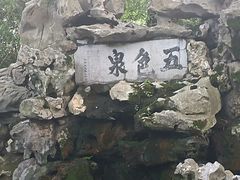 -上海醉白池公园