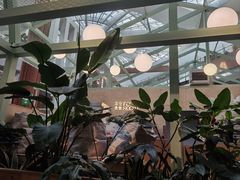 -Seesaw Coffee(上海太阳宫K46店)