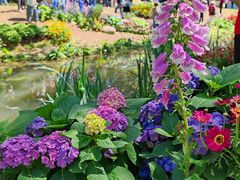 -人民公园(罗湖区)