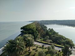 -大湾区中央湿地公园