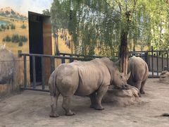 -西安秦岭野生动物园