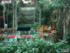  DSC00377-绿色时代大酒店