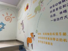 -瑞派申生动物医院·24H夜诊·国际动物医疗中心·骨外科(吴中路店)