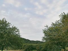 -八卦田遗址公园