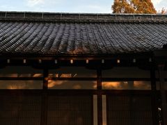 -奈良公园