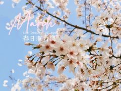 -龙美术馆(西岸馆)