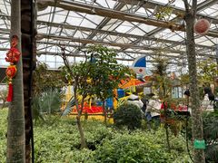 -南宫五洲植物乐园