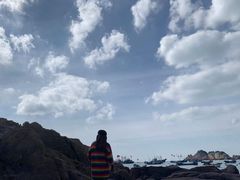 -枸杞岛