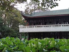 -桂湖森林公园