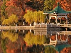 -东湖落雁景区