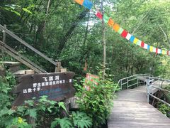 -峡谷浮石林景区