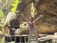 -牛背梁国家森林公园