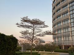 -深圳机场凯悦酒店