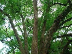 -溪口-滕头旅游景区