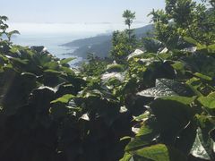 -燕窝岭