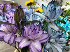 -花辰月夕花坊(北滨路店)